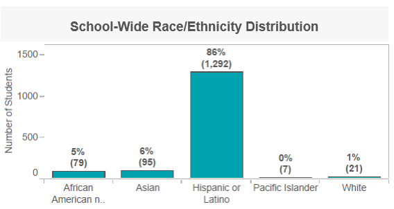 Image of school race and ethnicity data report